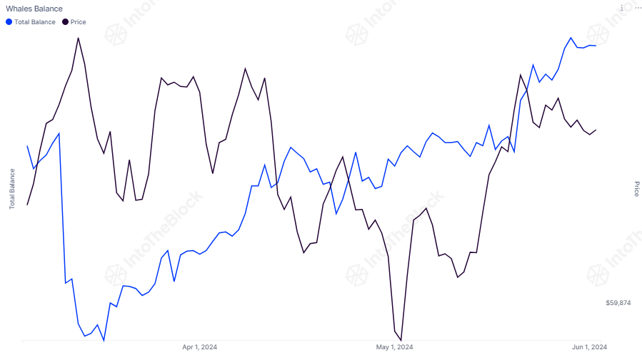 比特币鲸鱼持续购买,目前控制着超过40%的供应量插图 比特币鲸鱼持续购买,目前控制着超过40%的供应量