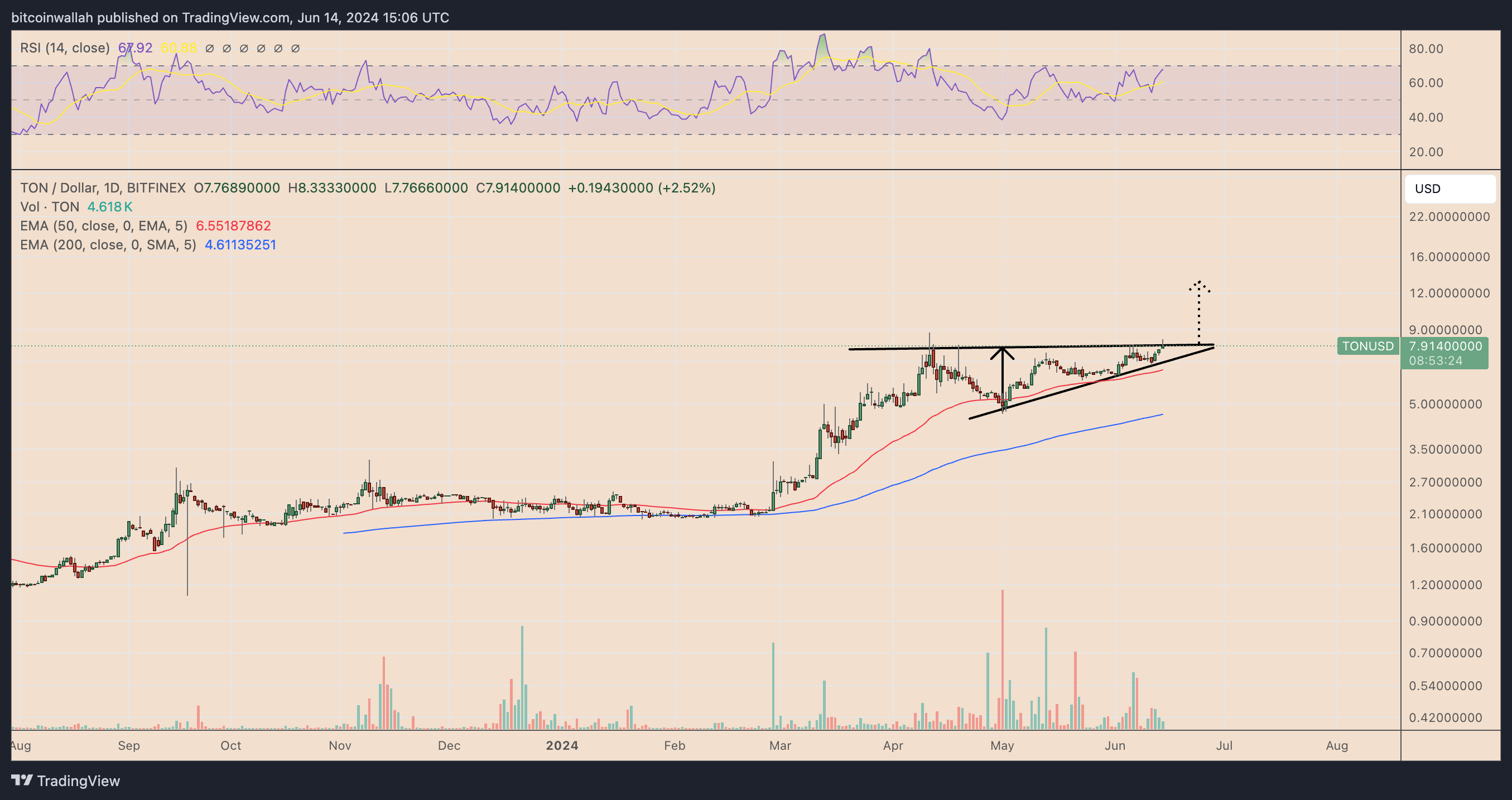 TON币两周内飙升34%后，TON币价格面临回调风险