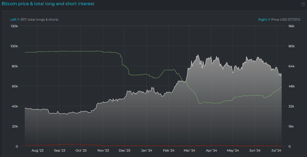 Bitfinex鲸鱼在比特币回调期间增加10000 比特币多头仓位