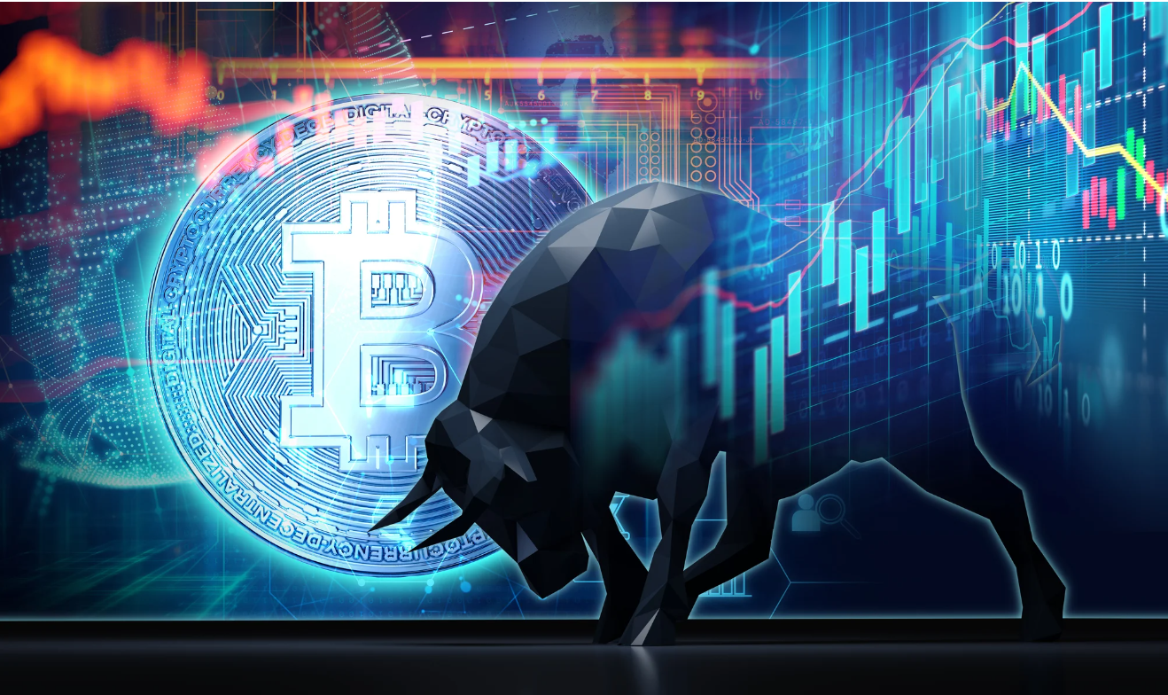 2025年更值得购买：XRP、狗狗币还是比特币？