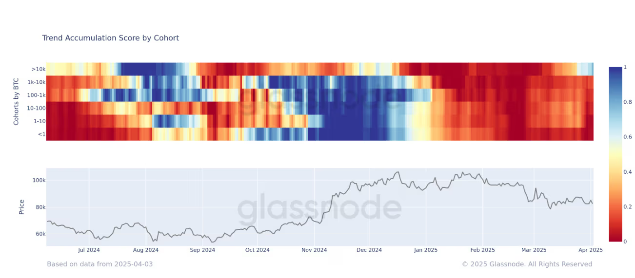 鲸鱼趁比特币下跌买入：8个月来首次大幅增持
