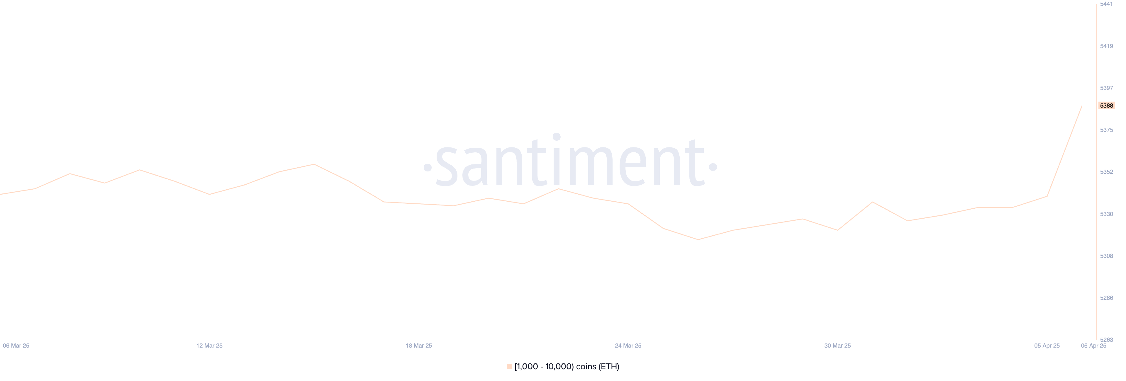 黑色星期一崩盘后加密货币鲸鱼在购买什么？