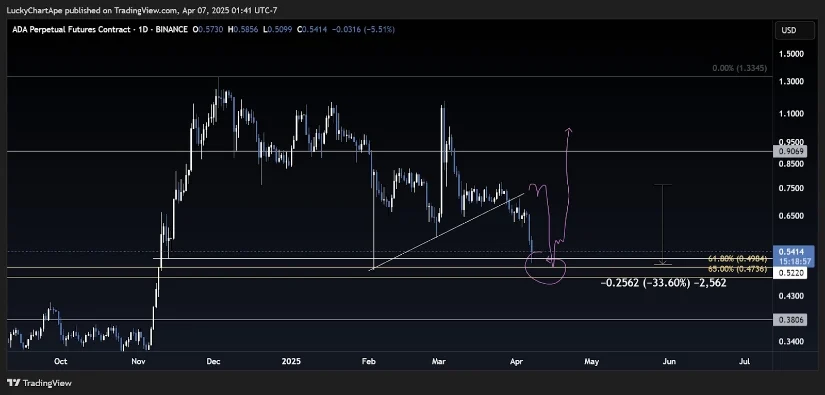 ADA币价格在2025年下跌47%后能否恢复？