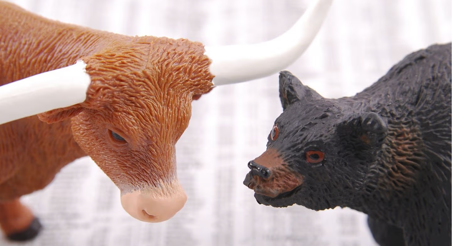 SOL、DOGE币价格领涨各大主要货币