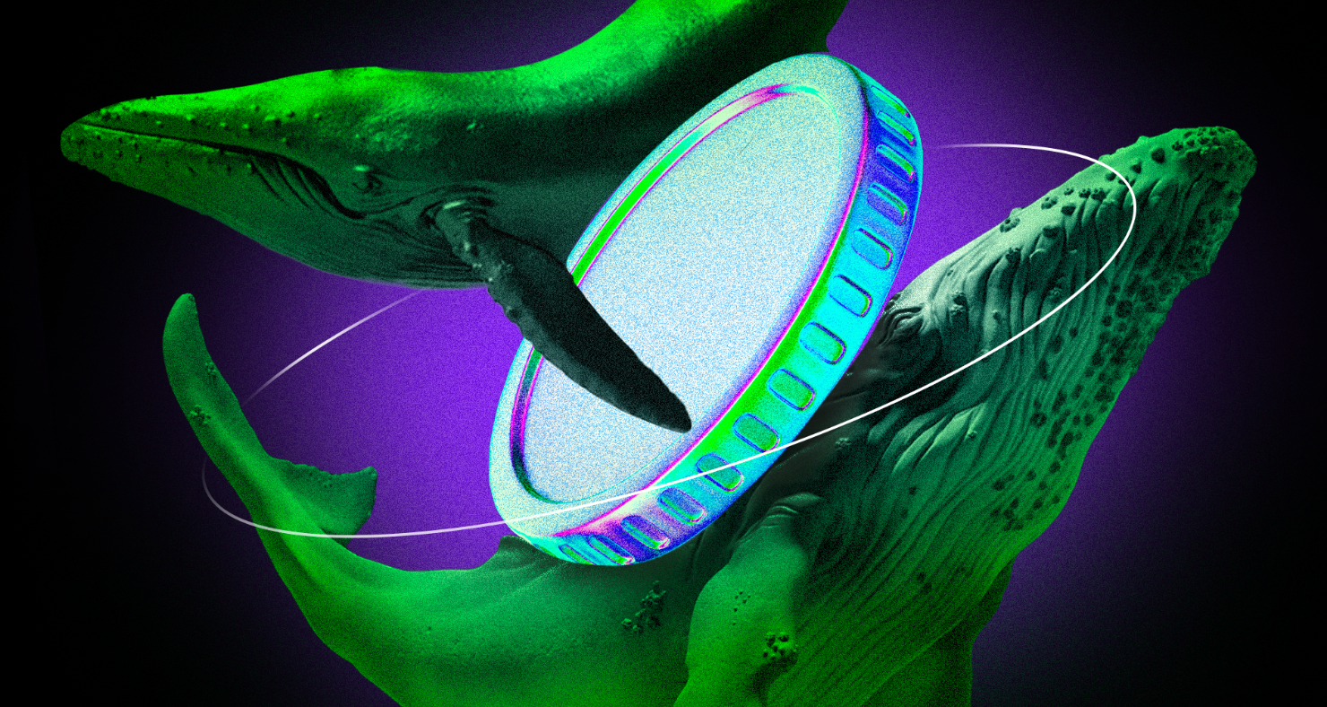 2025年5月加密货币鲸鱼们会购买什么?插图 2025年5月加密货币鲸鱼们会购买什么?