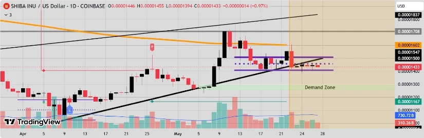 柴犬SHIB价格预测：SHIB价格图表显示鲸鱼流入量激增2,952%，将大幅上涨至0.000025美元