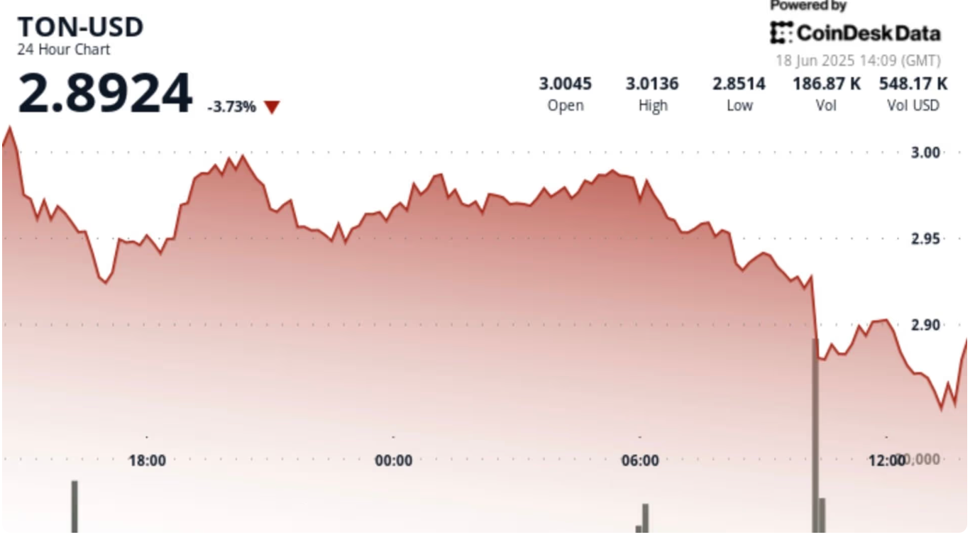 加密货币市场剧烈波动，TON币价格下跌3.1%