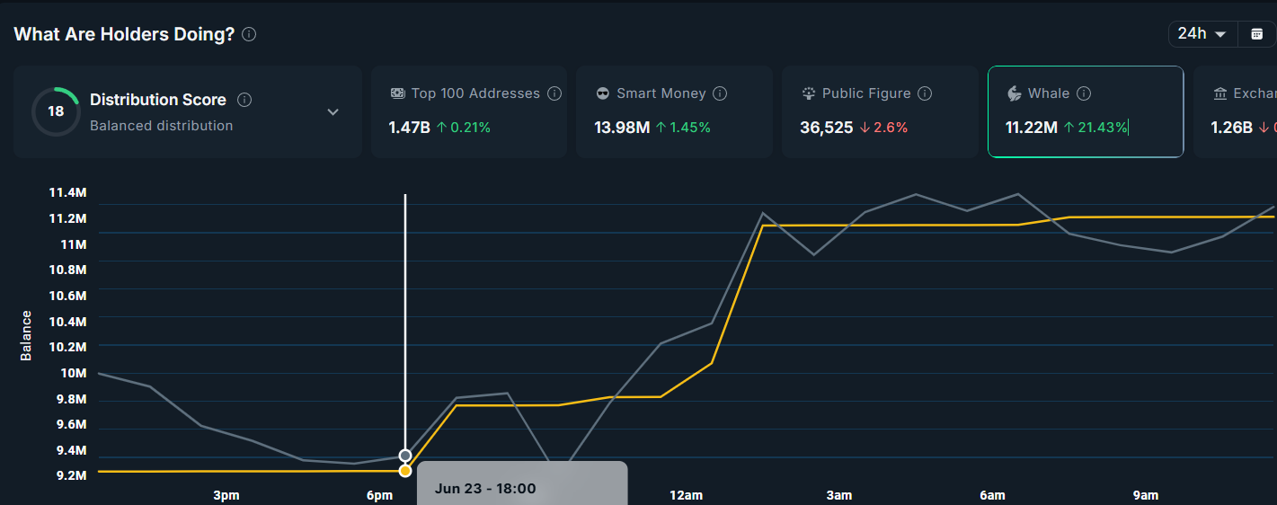 以色列与伊朗宣布停火后，加密货币巨头们都在购买什么？