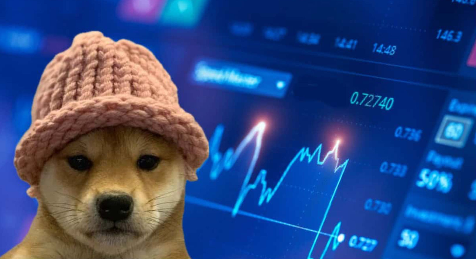 Floki币价格下跌 13%，但分析师仍看好其长期走势