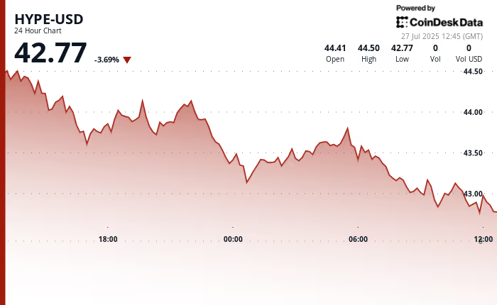 Hyperliquid的HYPE币行情下一步将如何发展？