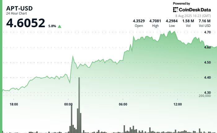 牛市主导，APT价格上涨 7%